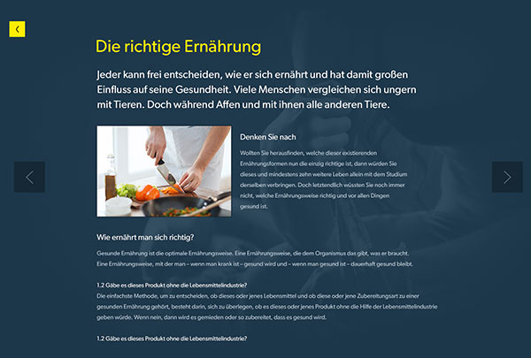 Programmierung eines Online Lexikons