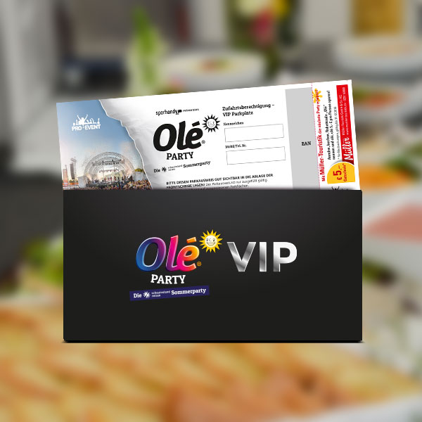 Festival Ticket design